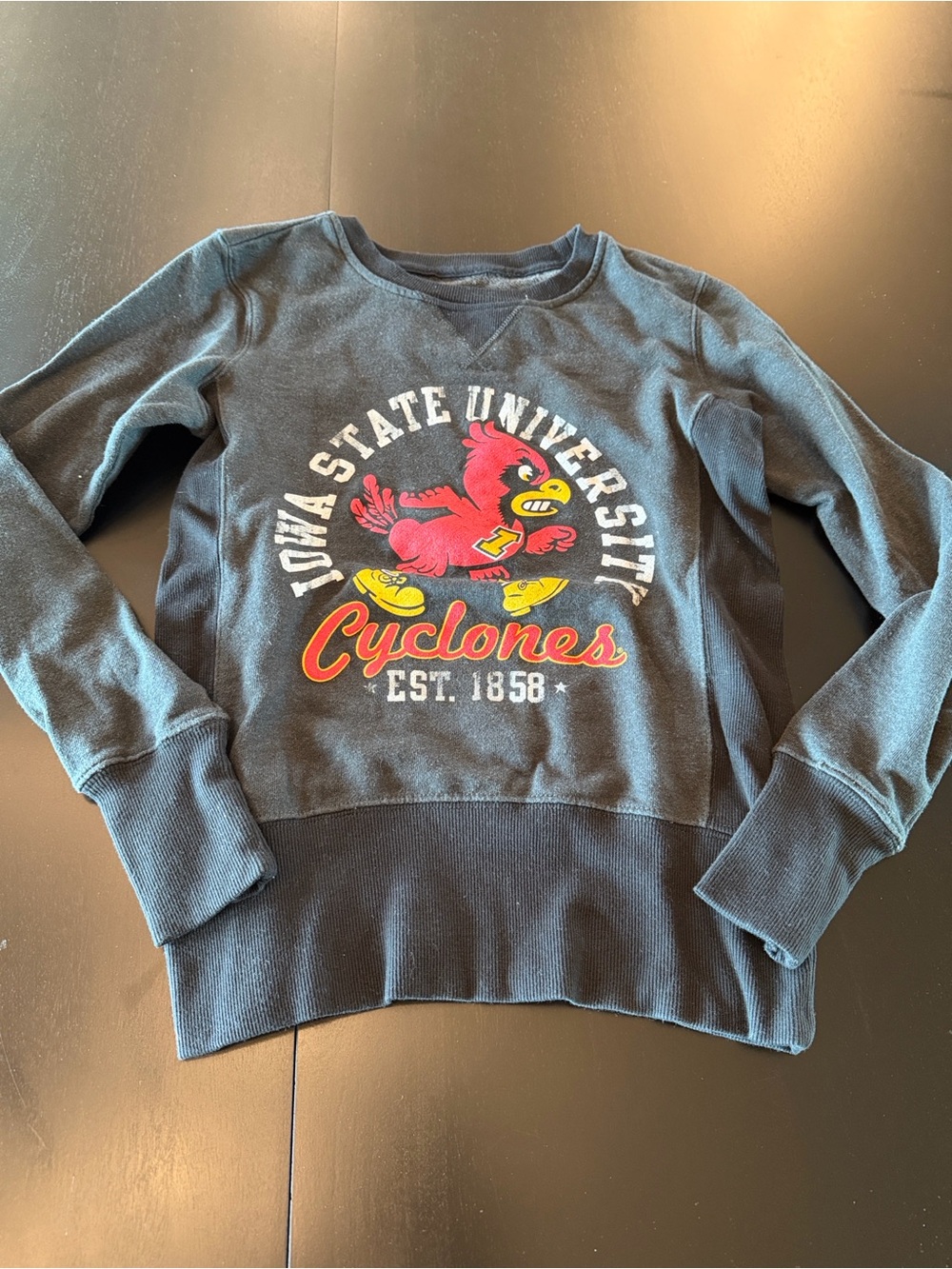 Iowa State University Cyclones Crewneck Sweatshirt